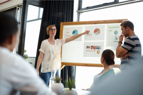 Webecho Digital Analytics